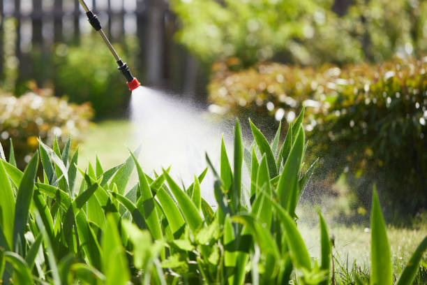 Tamper-Resistant Bait Stations for Rodents in Cross Roads